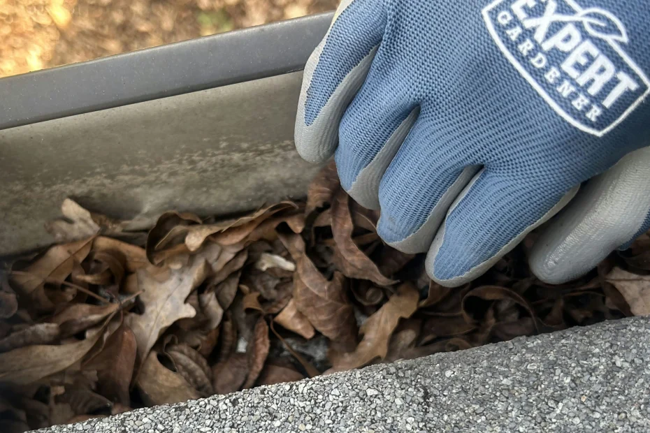 Gutter Cleaning Pawleys Island