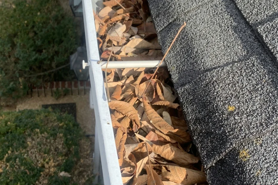 Gutter Cleaning Pawleys Island