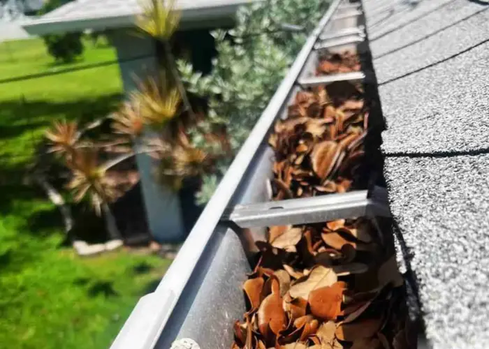 Gutter Cleaning Pawleys Island home page